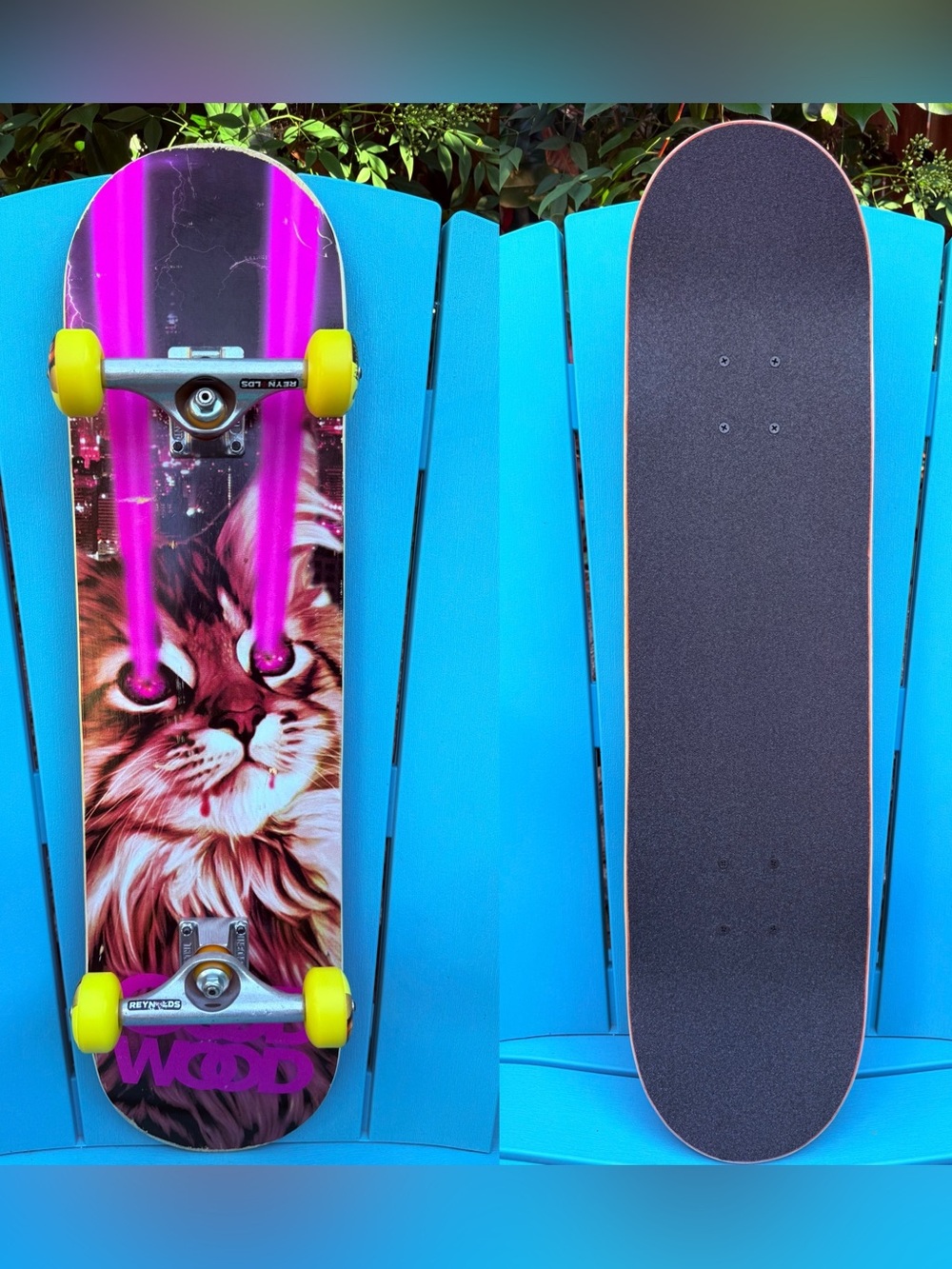 Goodwood Skateboards lazer kitty Complete Skateboard 8.0” Hollow Independent 139